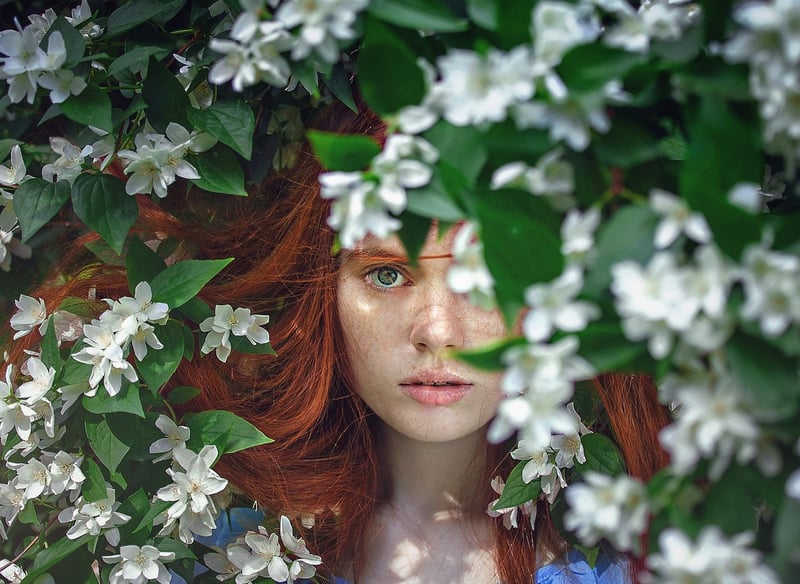 Foliage Portraits
